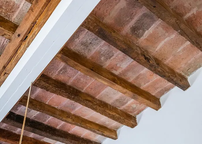 Very Near Piazza Mazzini 公寓 摩德纳